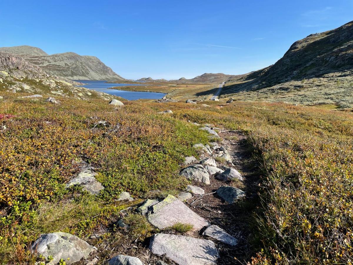 Gausta View Stay Gaustablikk Exteriér fotografie